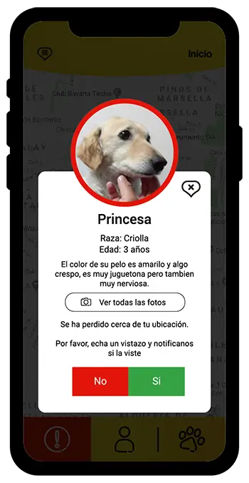 Mensaje de ayuda LucyApp