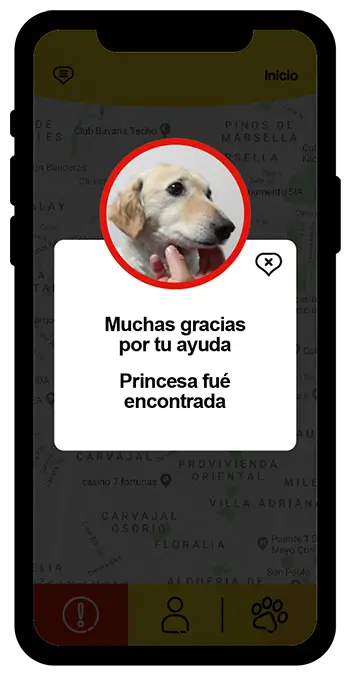 Muchas gracias por tu ayuda LucyApp